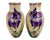 Pair of Antique Bearded Iris Vases Hand Painted Enamel Thick Milk Glass 12.25 - Poppy's Vintage Clothing